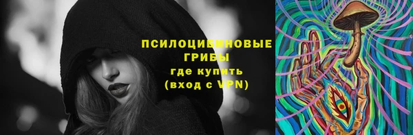дживик Алзамай