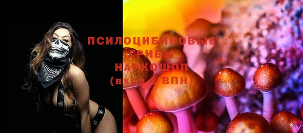 ECSTASY Алексин