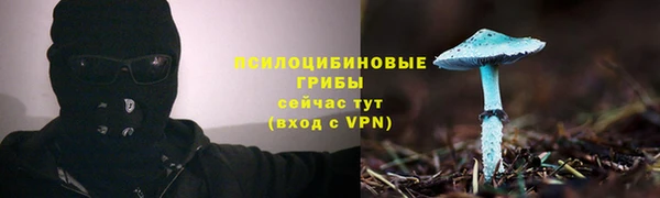 ECSTASY Алексин