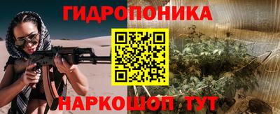 крисы Краснознаменск
