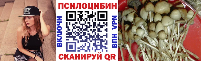 darknet клад  Дмитров  Галлюциногенные грибы GOLDEN TEACHER 