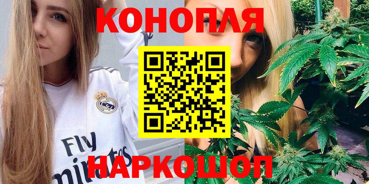 Марихуана сатива Дмитров